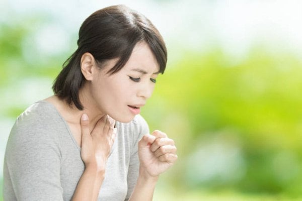 Bách bộ là vị thuốc có công dụng trị ho