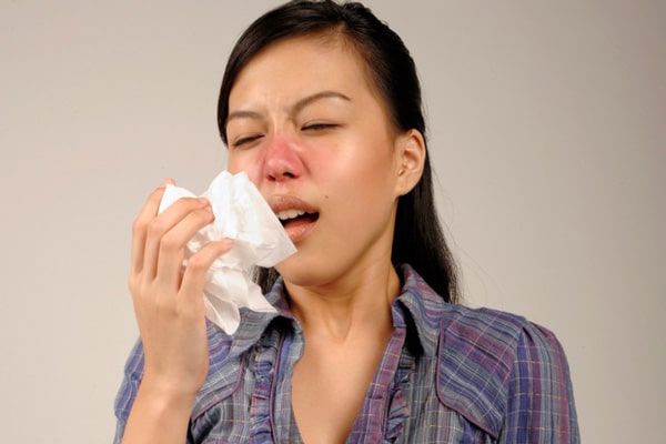 Dược liệu có thể trị sổ mũi