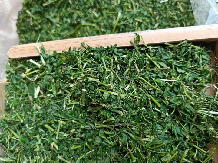 Trà thảo mộc từ Dây cam thảo có tác dụng trị đau họng