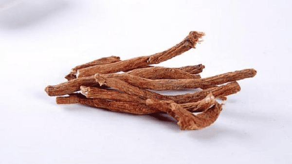 Dược liệu Đan sâm
