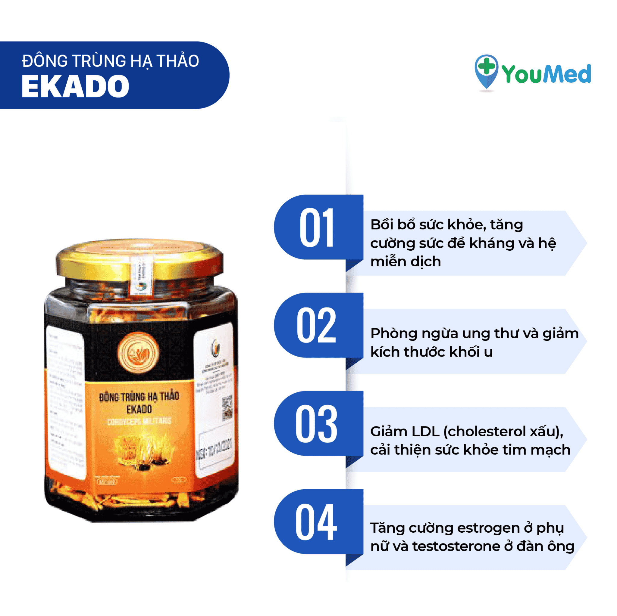 Đông trùng hạ thảo mang đến nhiều lợi ích cho sức khỏe