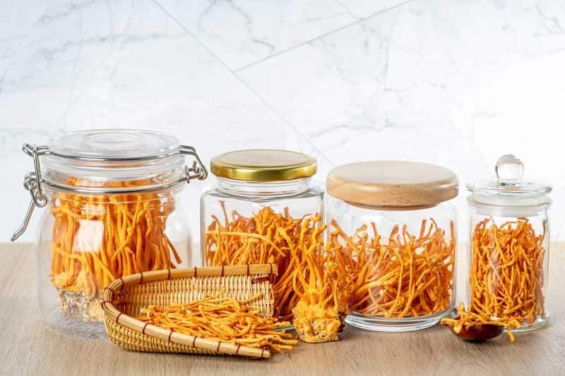 Đông trùng hạ thảo sấy thăng hoa