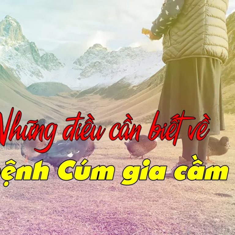 CumGC