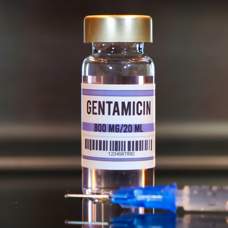 Gentamicin-1
