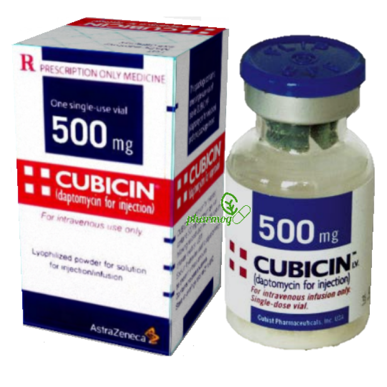 daptomycin-500mg