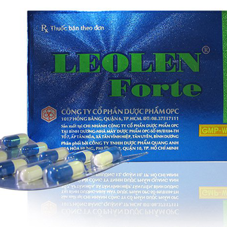 leolen-fort